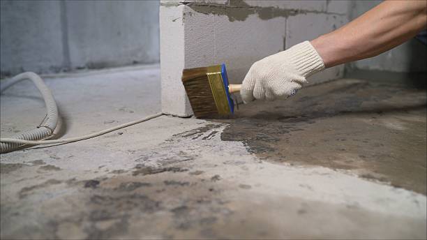 SJ Waterproofing Pros Waterproofing coverage map for Elmont, NY and surrounding area